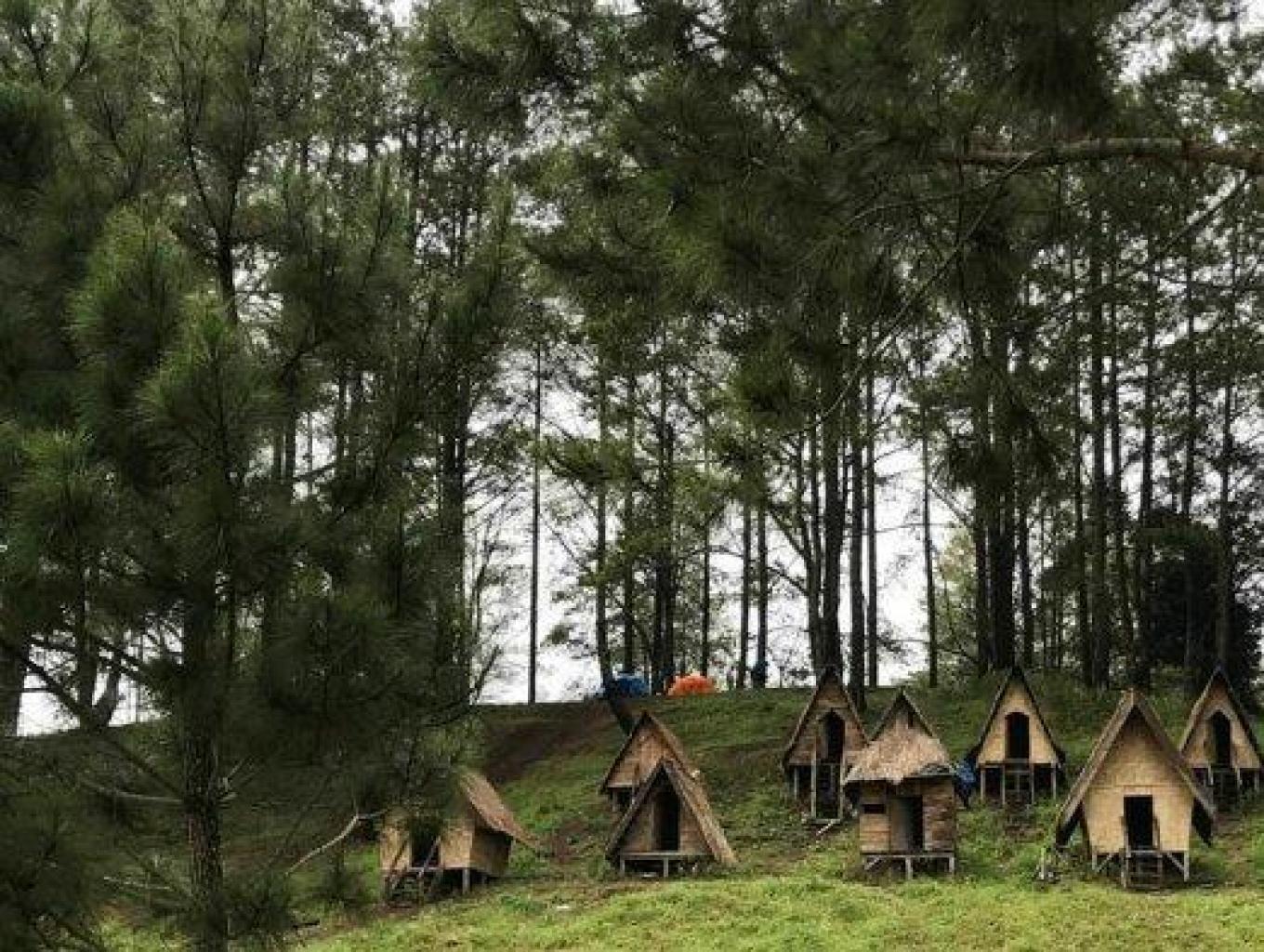 Desa Wisata Puncak Pelangkah Gading: Pesona Alam dan Budaya Karo yang Memikat