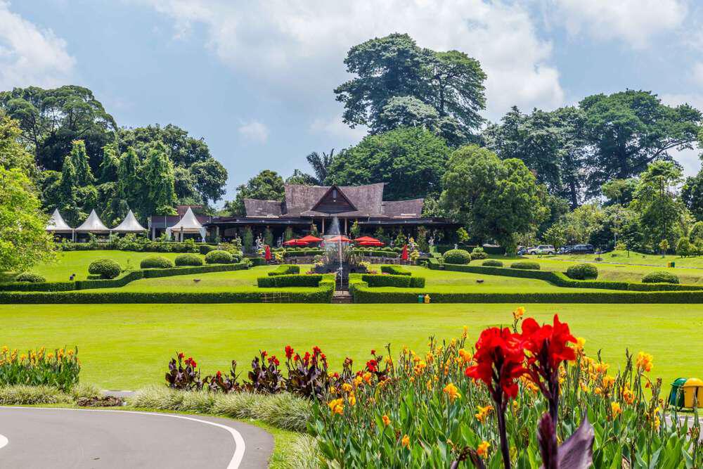 Kebun Raya Bogor: Oase Hijau yang Memikat di Tengah Kota