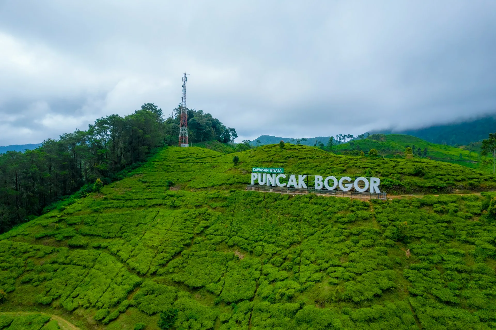 Puncak Bogor: Destinasi Wisata Alam yang Menyegarkan