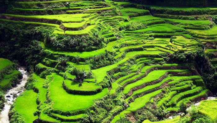 Banaue: Keajaiban Sawah Terasering di Pegunungan Filipina