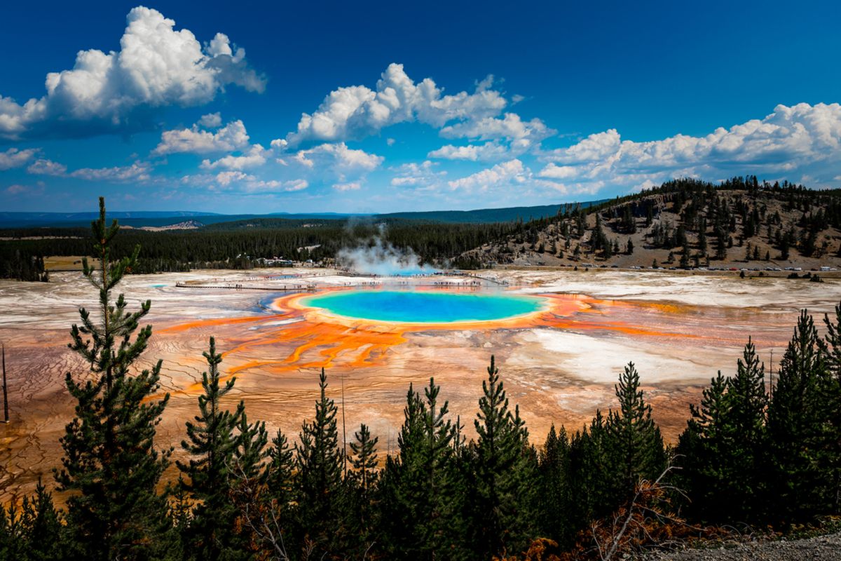 Taman Nasional Yellowstone: Surga Alam Liar Amerika