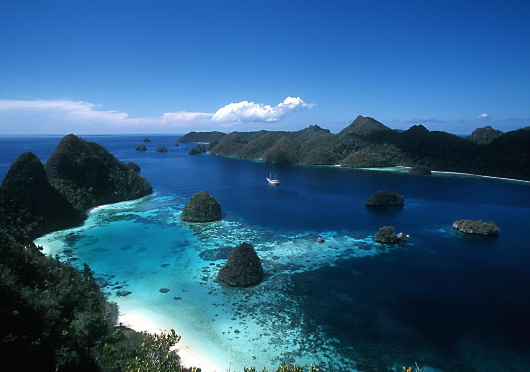 Taman Nasional Teluk Cenderawasih: Keindahan Laut yang Menakjubkan di Papua