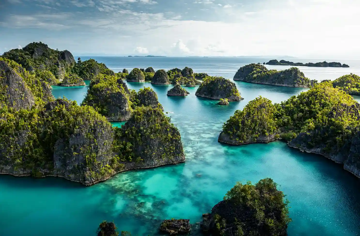 Raja Ampat: Keindahan Surga Tersembunyi di Papua