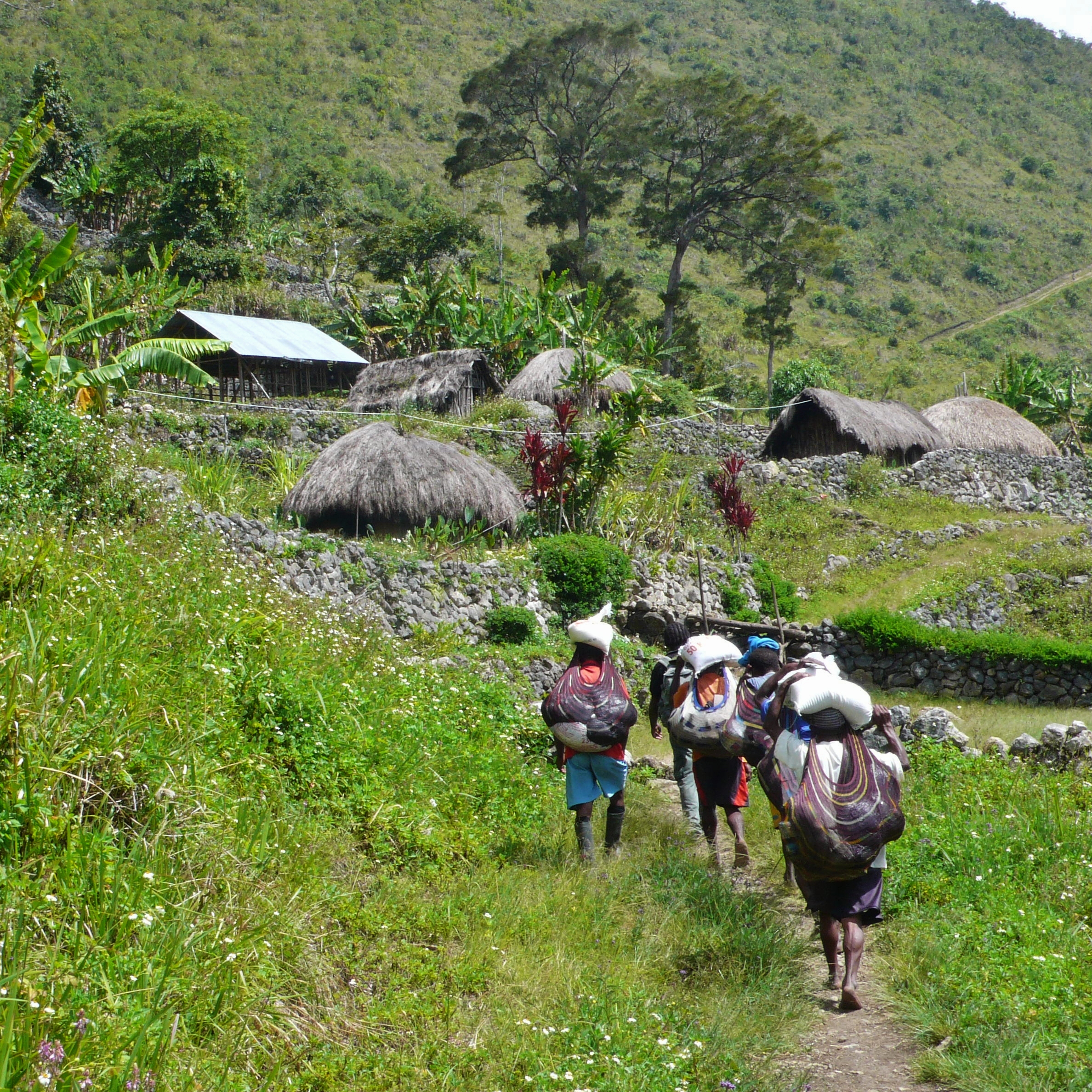 Lembah Baliem: Keindahan Alam dan Budaya di Papua