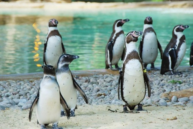 ZSL London Zoo: Kebun Binatang Bersejarah di Jantung Kota London