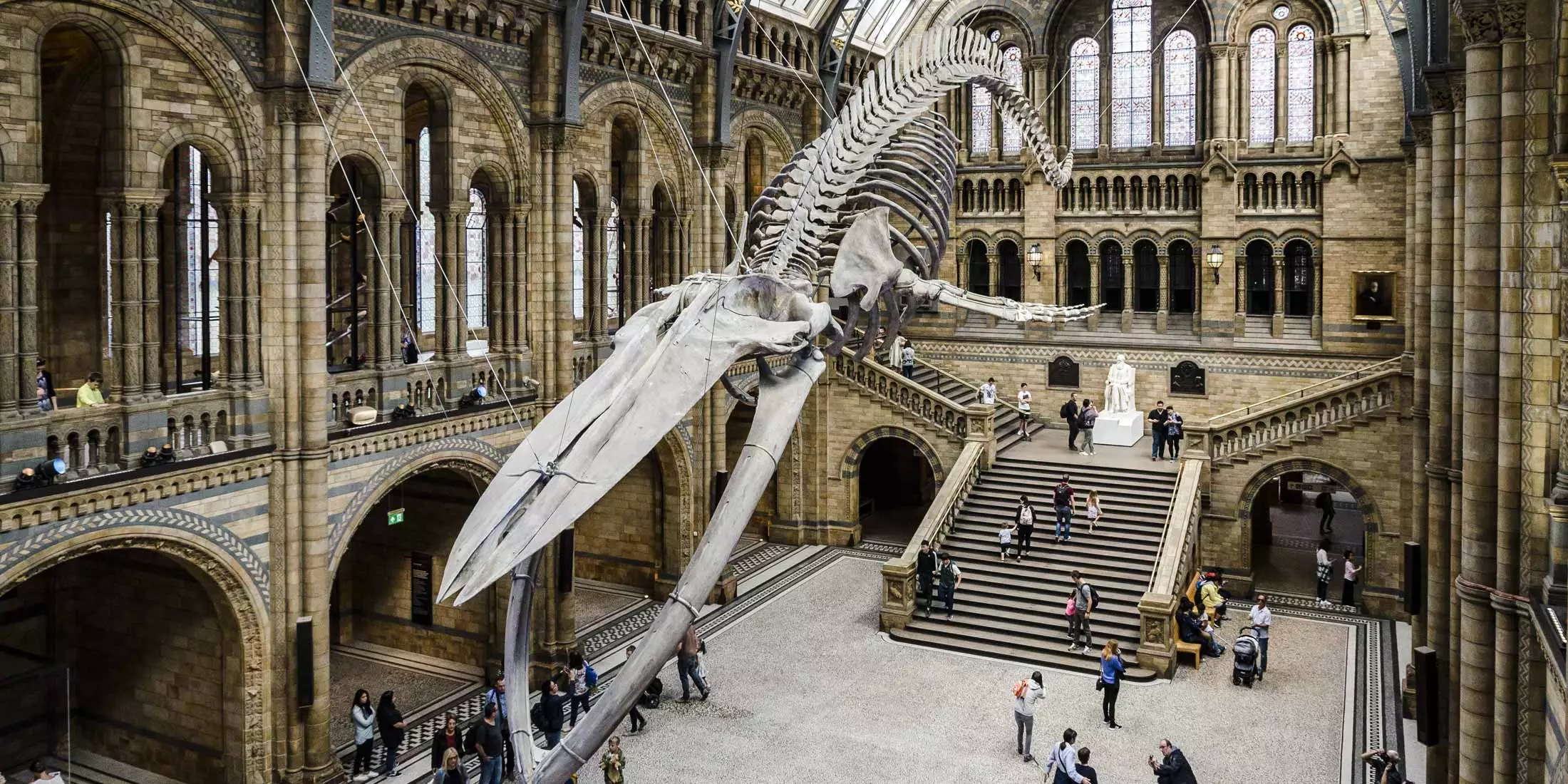 Natural History Museum: Menyelami Keajaiban Alam dan Sejarah Bumi