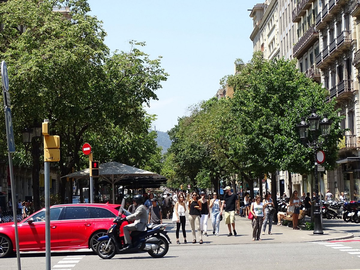 Jalan Rambla: Pusat Kehidupan dan Budaya Barcelona