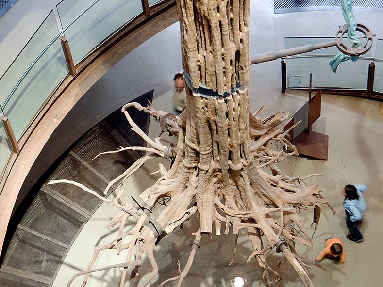 CosmoCaixa Barcelona: Museum Sains Interaktif yang Mendidik dan Menginspirasi