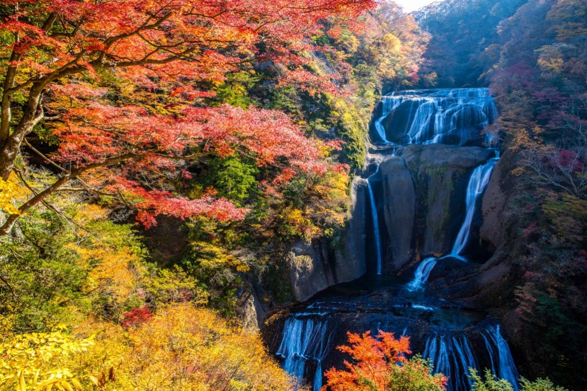 Keindahan Air Terjun Fukuroda: Pesona Alam yang Memukau