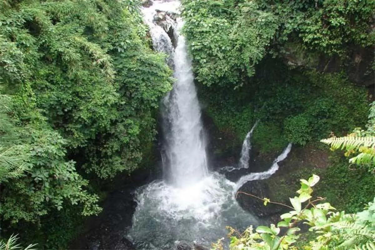 Keindahan Air Terjun Kemumu: Pesona Alam yang Memikat