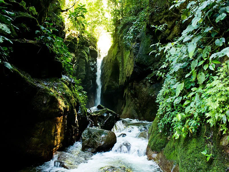 Keindahan Alam Air Terjun Pendung di Tengah Hutan Tropis