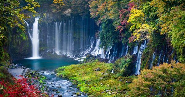 Pesona Air Terjun Shiraito: Keindahan Alam Jepang yang Memukau