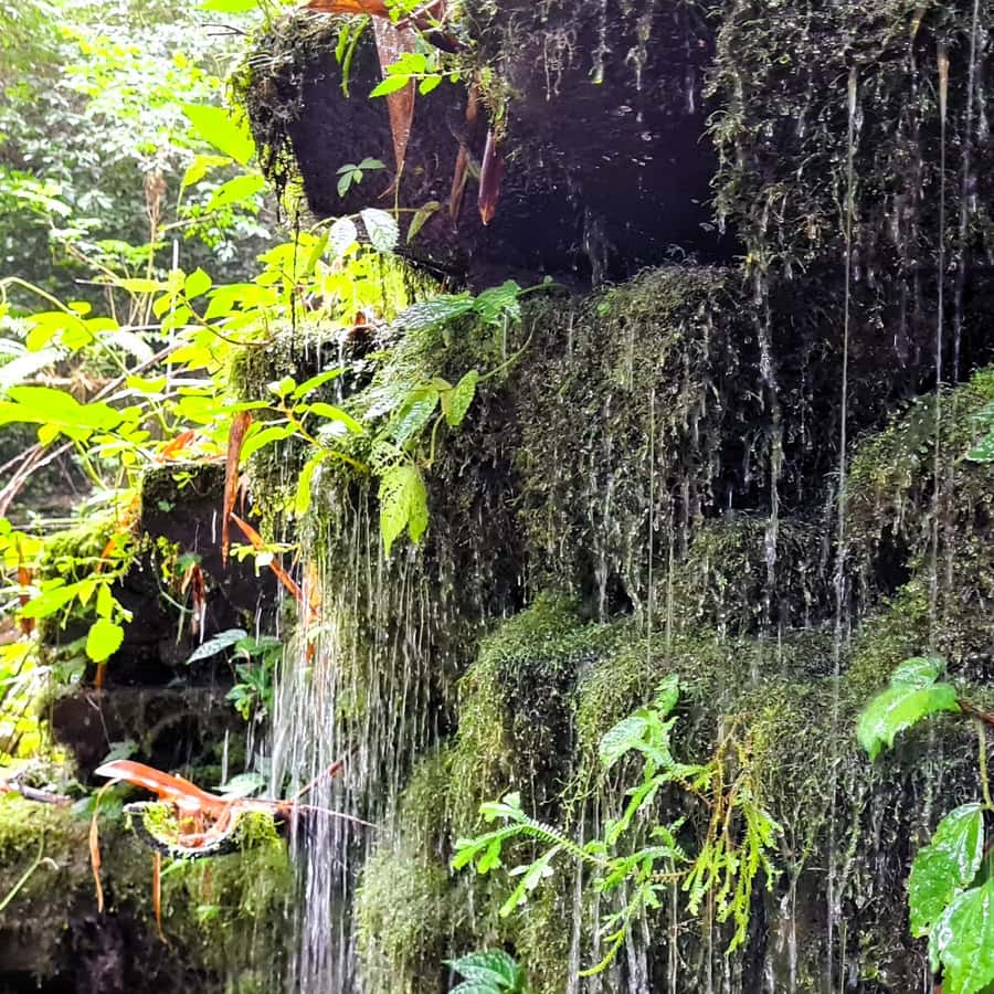 Keindahan Alam Air Terjun Gua Bawah di Tengah Hutan Rimba