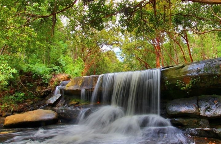 Keindahan Alam Air Terjun Hutan Pancur di Indonesia