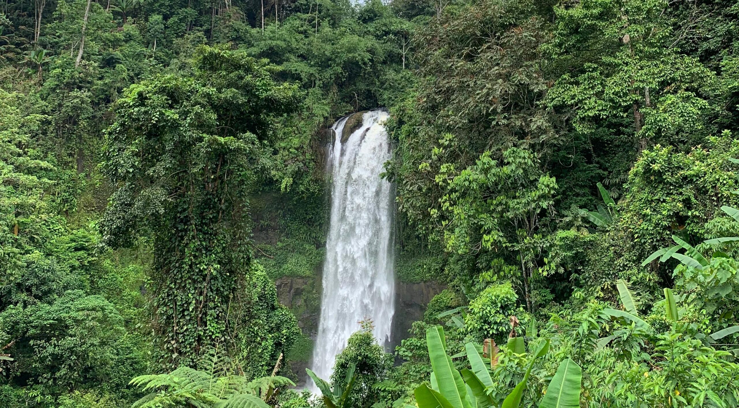 Keindahan Alam Air Terjun Jelutung di Tengah Hutan Rimba