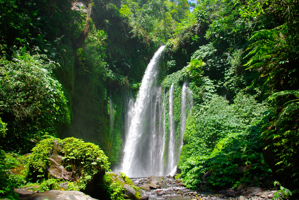 Keindahan Alam Air Terjun Selani di Tengah Pegunungan