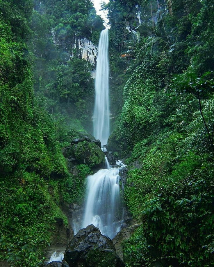 Keindahan Alam Air Terjun Tinggima di Tengah Hutan Rimba