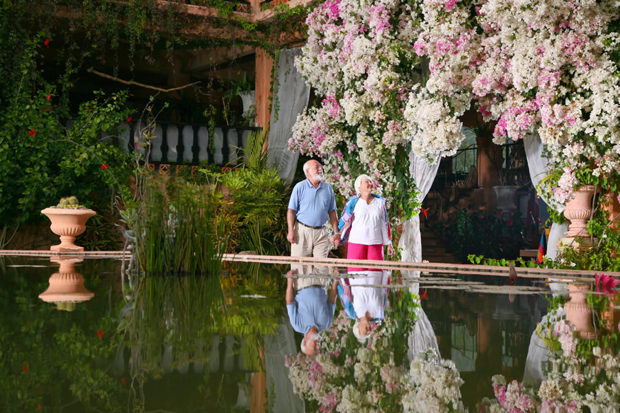 Eksplorasi Keindahan Taman Jardín Botánico de Vallarta