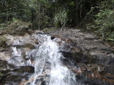 Keindahan Alam Air Terjun Alahan di Tengah Pegunungan