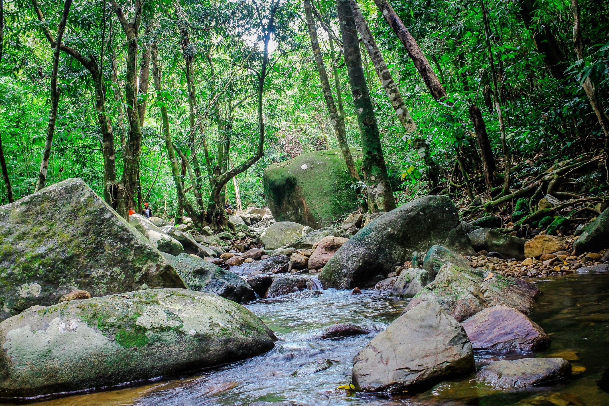 Keindahan Alam Air Terjun Eria yang Menawan di Tengah Hutan