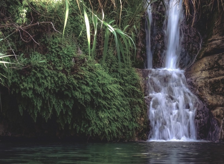 Keindahan Alam Air Terjun Gedangan di Surabaya