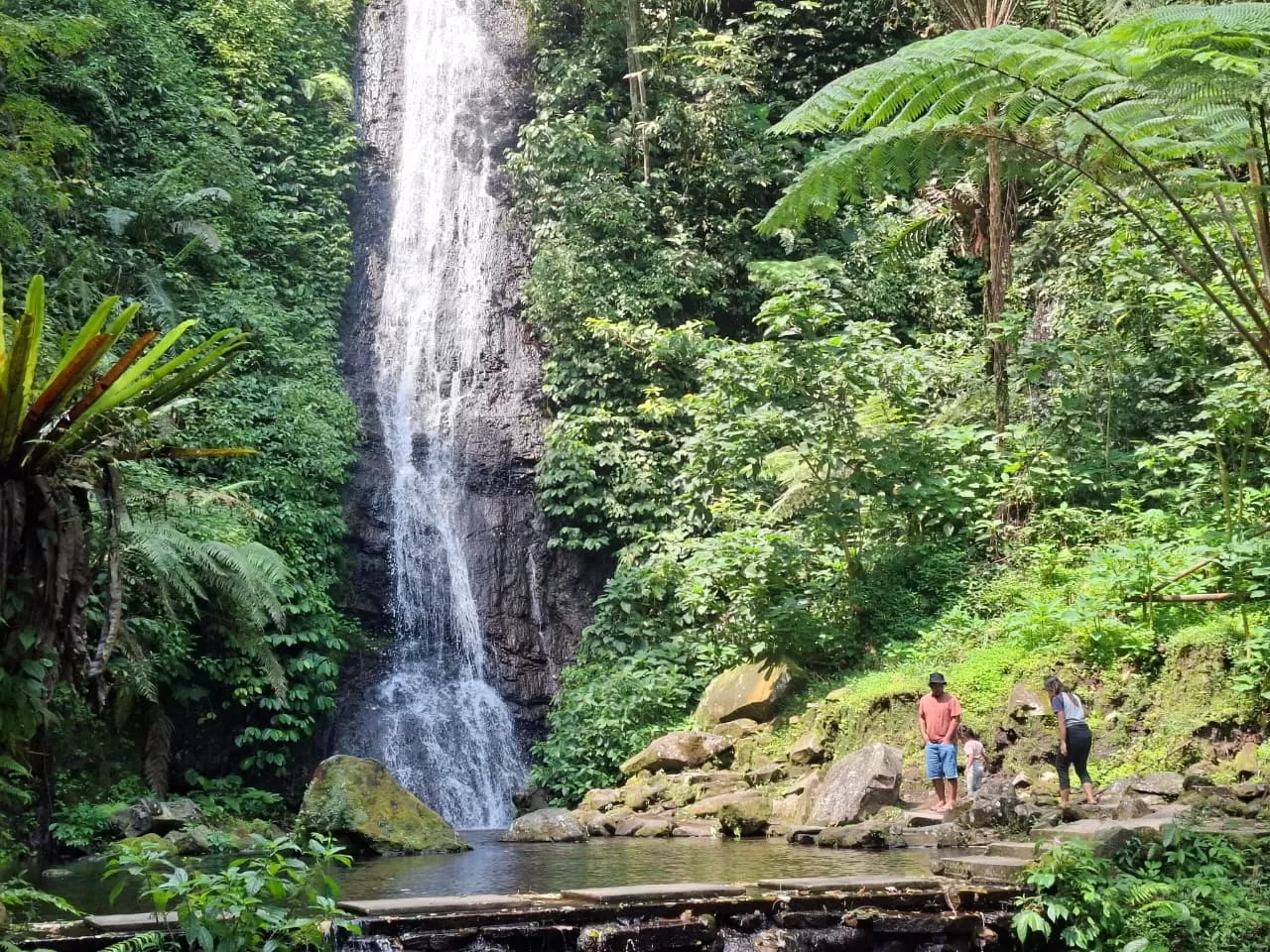 Keindahan Alam Air Terjun Blitar: Pesona Alam yang Menawan
