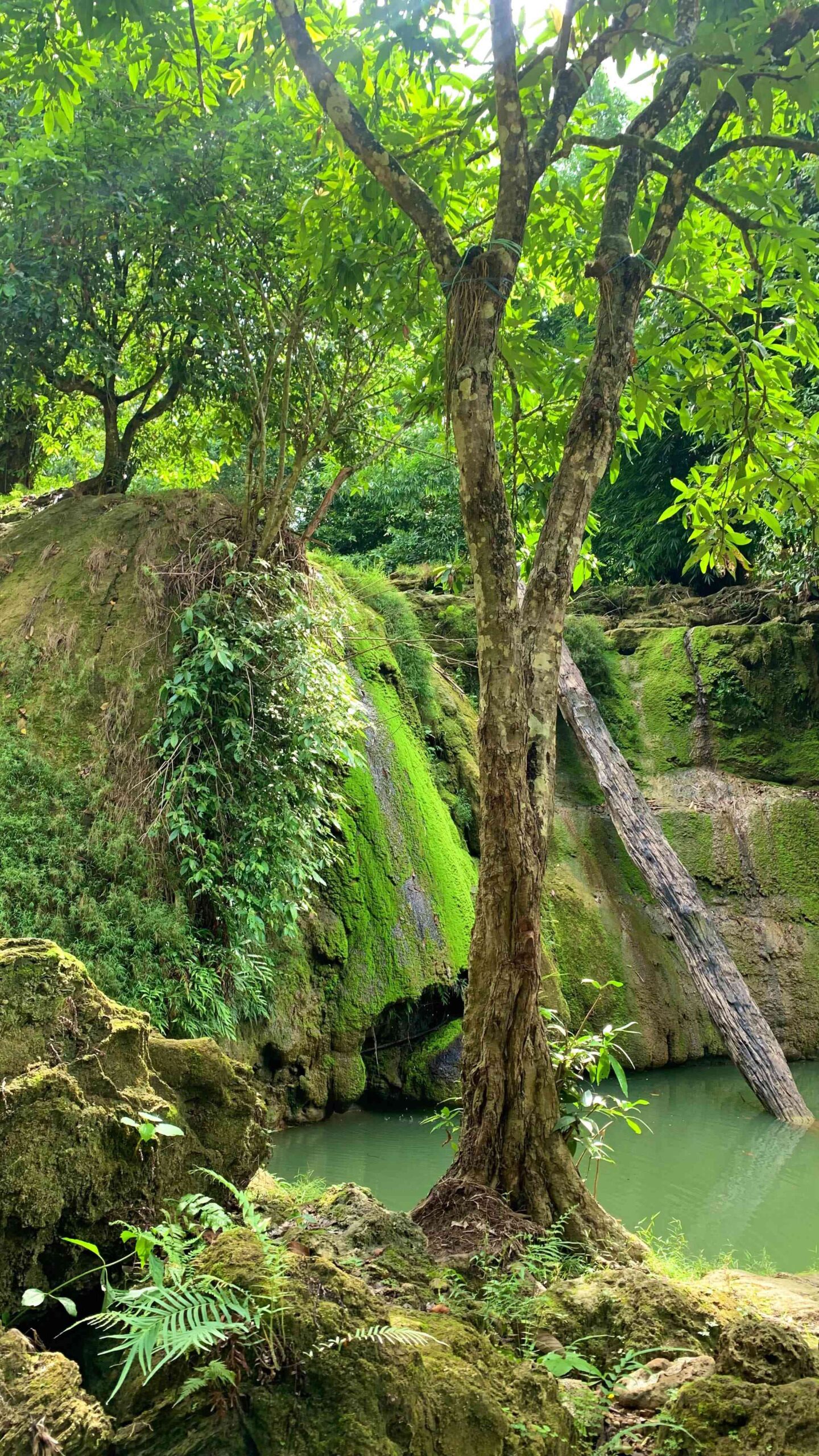 Keindahan Alam Air Terjun Cisabuk di Tengah Hutan Tropis