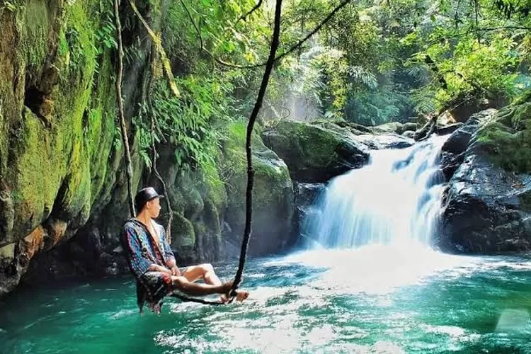 Keindahan Alam Air Terjun Naga di Tengah Hutan Tropis