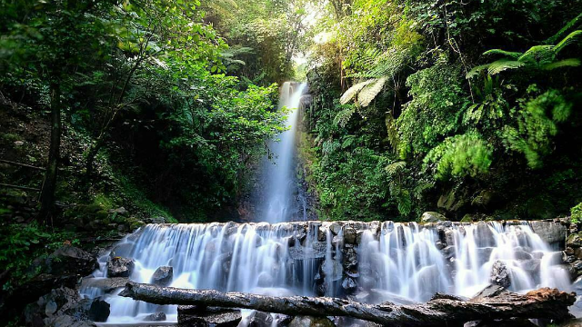 Keindahan dan Pesona Air Terjun Ngumpet di Tengah Alam