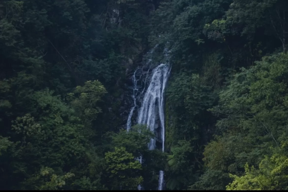 Keindahan Air Terjun Muara Jaya: Pesona Alam Tersembunyi